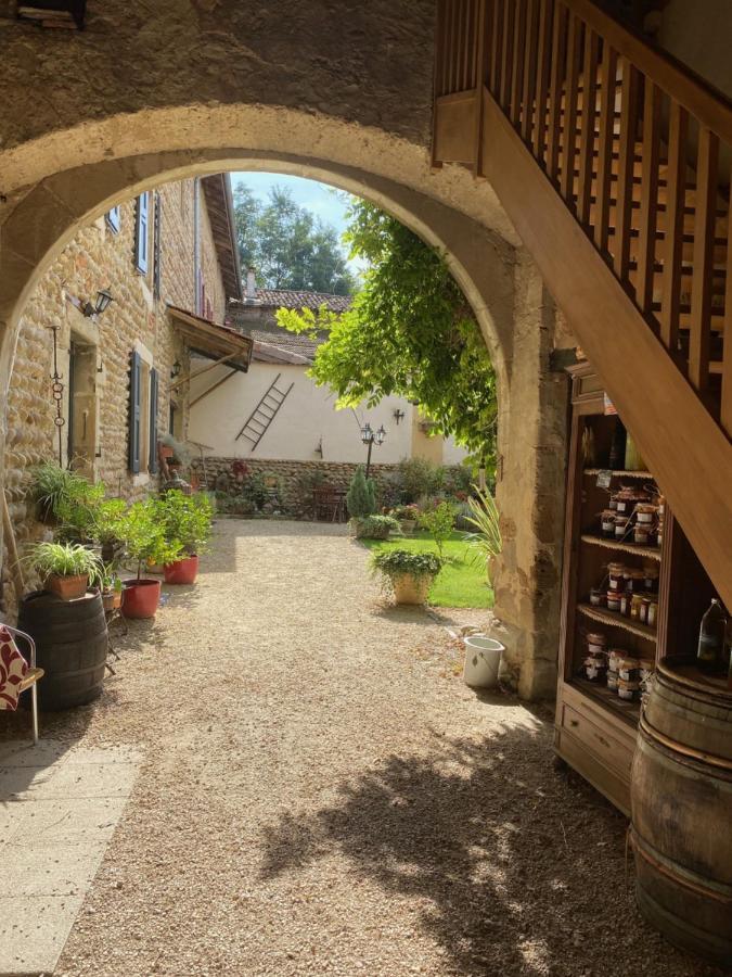 Lens-Lestang Chateau De La Saone المظهر الخارجي الصورة