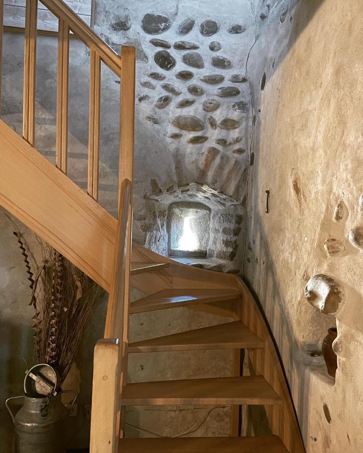 Lens-Lestang Chateau De La Saone المظهر الخارجي الصورة